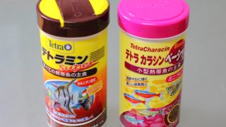 テトラ　カラシン　ベーシックとテトラミン　スーパー　比較
